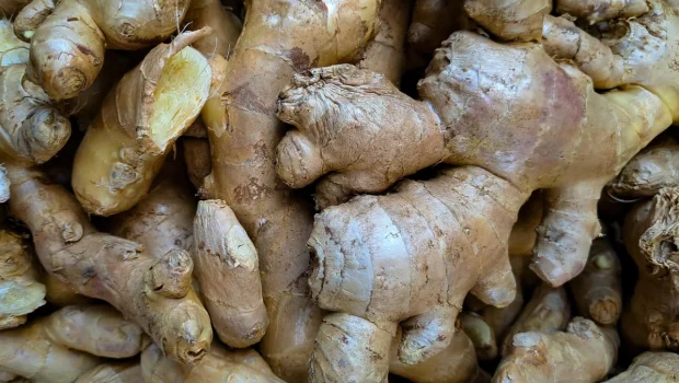 الزنجبيل يقى من مرض السرطان