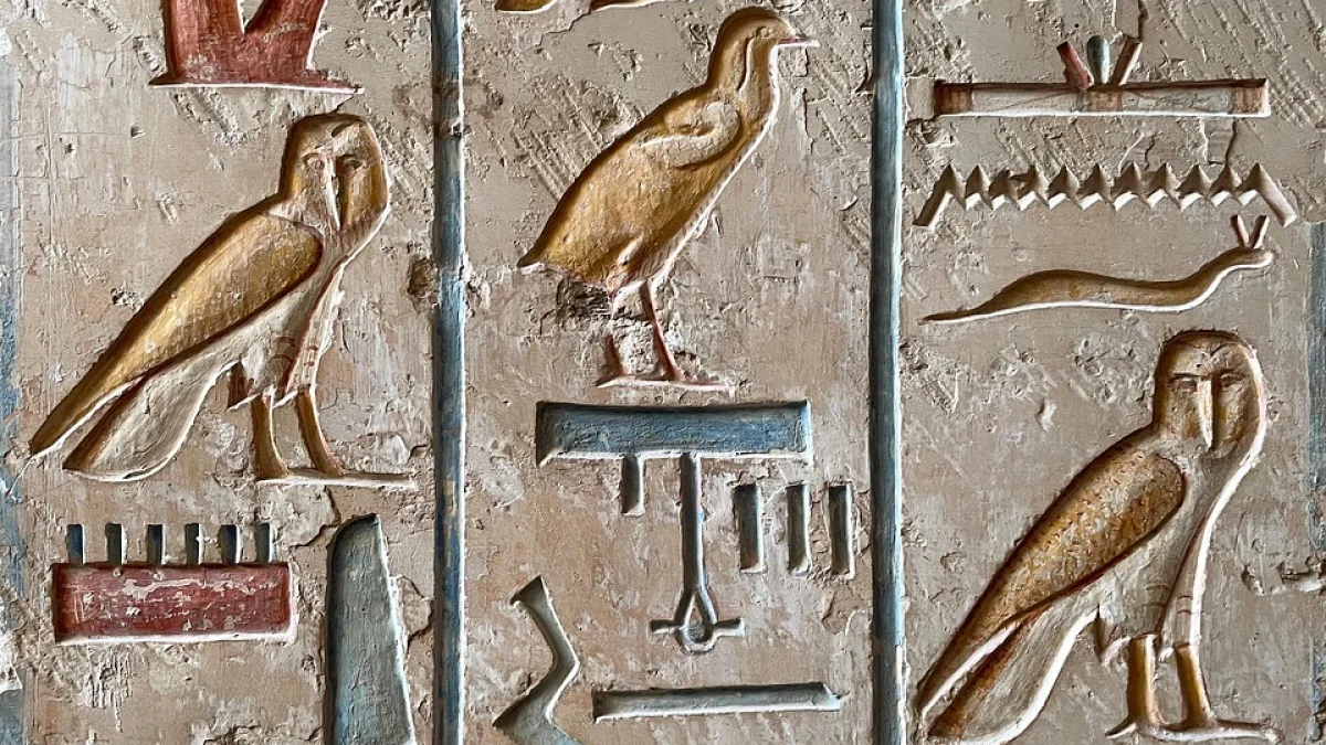 ندوة ” أثــــار مصر وتراثها العمراني” بين المخــاطر والحلول