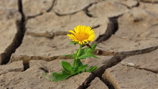 دجلة.. بين خطر التلوث ونار الجفاف