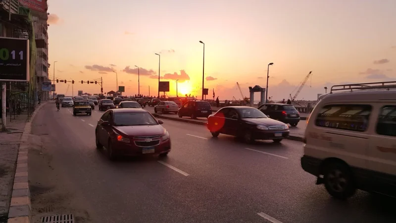 حوار هانى سلام فى قناة الاسكندرية