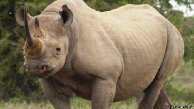 150502124928_wildlife_decline_may_lead_to_empty_landscape_640x360_grahamkerley