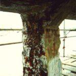 IMG-20211022-WA0001