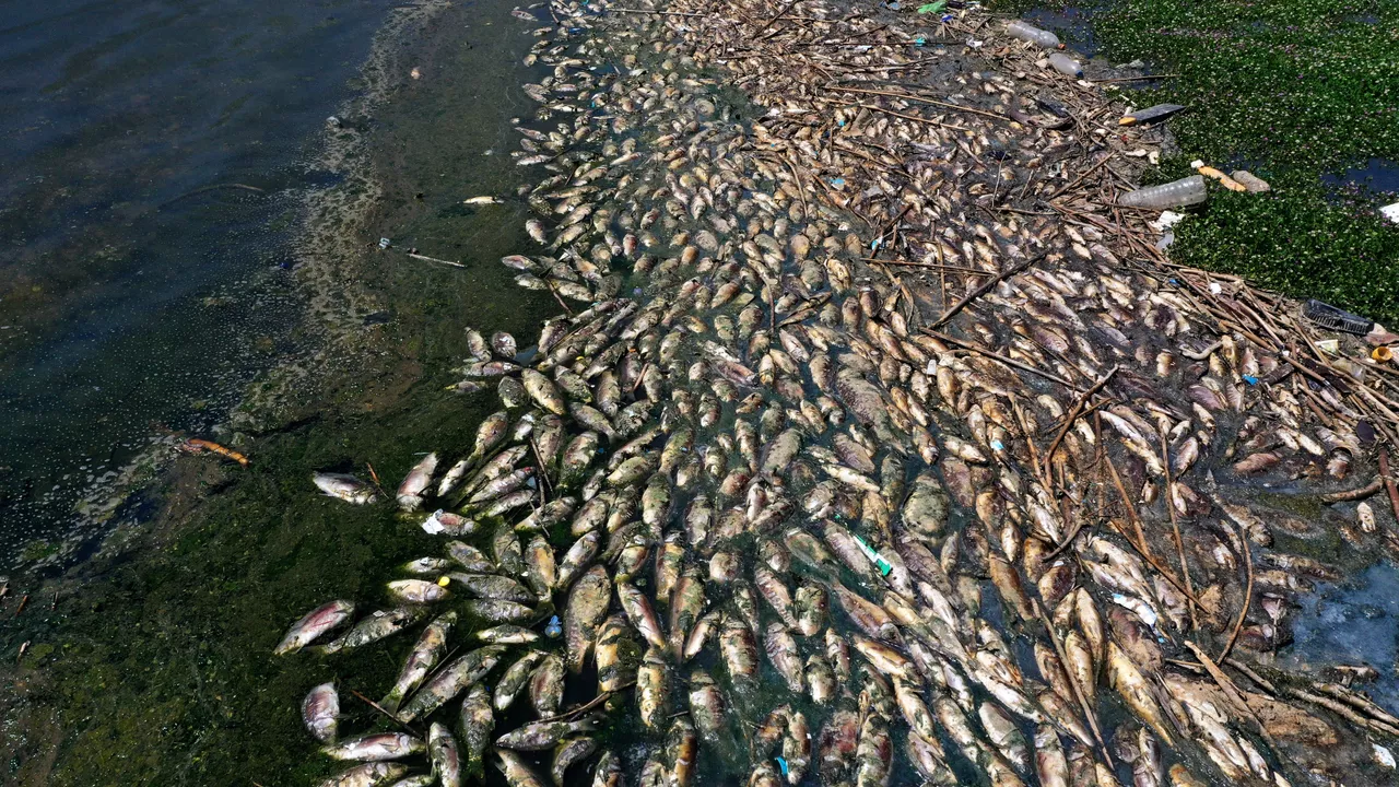 1048855705_0_160_3073_1888_1280x0_80_0_0_2efcc9730d8d1043844b4b3bf4cc2826.jpg