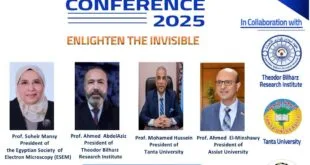 دور الميكروسكوب الإلكتروني في إظهار غير المرئي