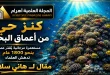 بقيت حية منذ 1800 عام.. اكتشاف يثير دهشة العلماء