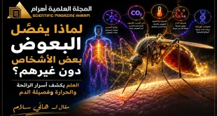 لماذا يفضّل البعوض بعض الأشخاص دون غيرهم؟