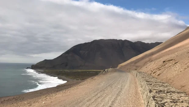 صورة توضيحية لمومياء قديمة بجانب شاشة تعرض تسلسلاً وراثياً لفيروس الجدري.