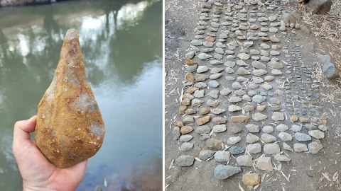 سن الفيل التاريخية وعالم العصر الجليدي