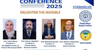 دور الميكروسكوب الإلكتروني في إظهار غير المرئي