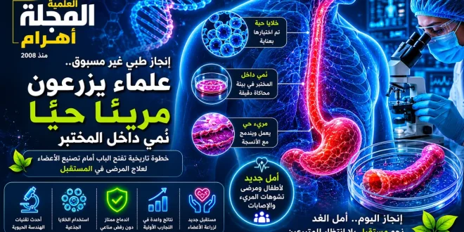 هل اقترب عصر تصنيع الأعضاء البشرية؟